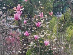 -乌山风景区