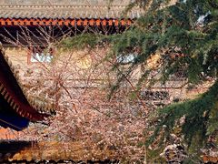 -西安市广仁寺