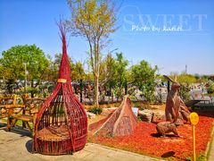 -北京西山国家森林公园