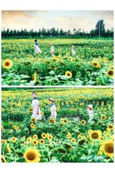 -蜜糖派儿童摄影(青建·太阳岛店)