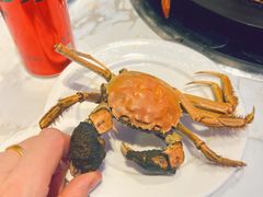 -半岛听涛蒸汽海鲜自助(K11店)
