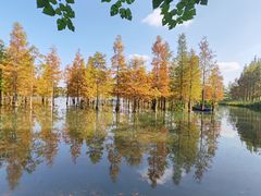 -白鹭湾湿地公园