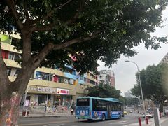 -黄桷坪涂鸦艺术街