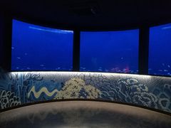 -沈阳海洋探索中心