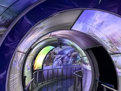 -房山世界地质公园博物馆