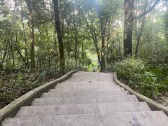 -神光山国家森林公园