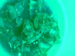 -城北食府(枫林店)