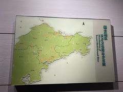 -烟台市博物馆