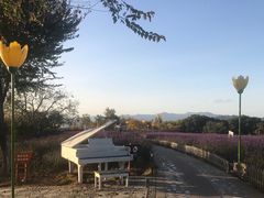 -密云玫瑰情园