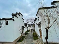 -广富林郊野公园