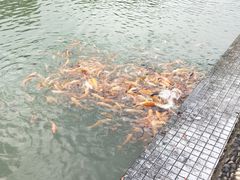 -千龙湖生态旅游度假区