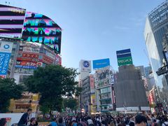 -涩谷区