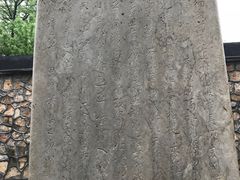 -皇家御河游(紫御湾码头)