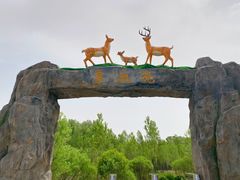 -野鸭湖国家湿地公园