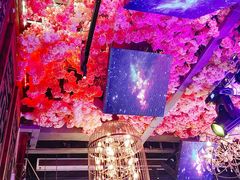 -喜鹊音乐酒馆(西街店)