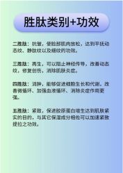 -玛莲朵·海菲秀冰珀科