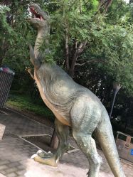 -大望京儿童游乐场