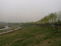 -洨河生态公园
