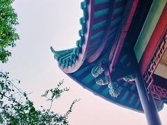 -乌山风景区