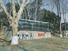 -南京古林公园