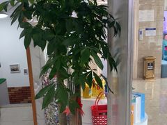 -茂菊口腔连锁(浦东南路店)