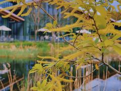 -西湖风景区-江洋畈生态公园