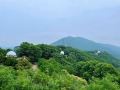 -紫金山天文台