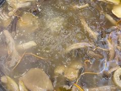 -草墩罗非鱼庄•野生菌•腊排骨(七星街上段店)