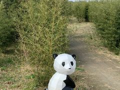 -嘉北郊野公园