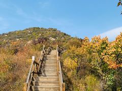 -大岭沟猕猴桃谷风景区