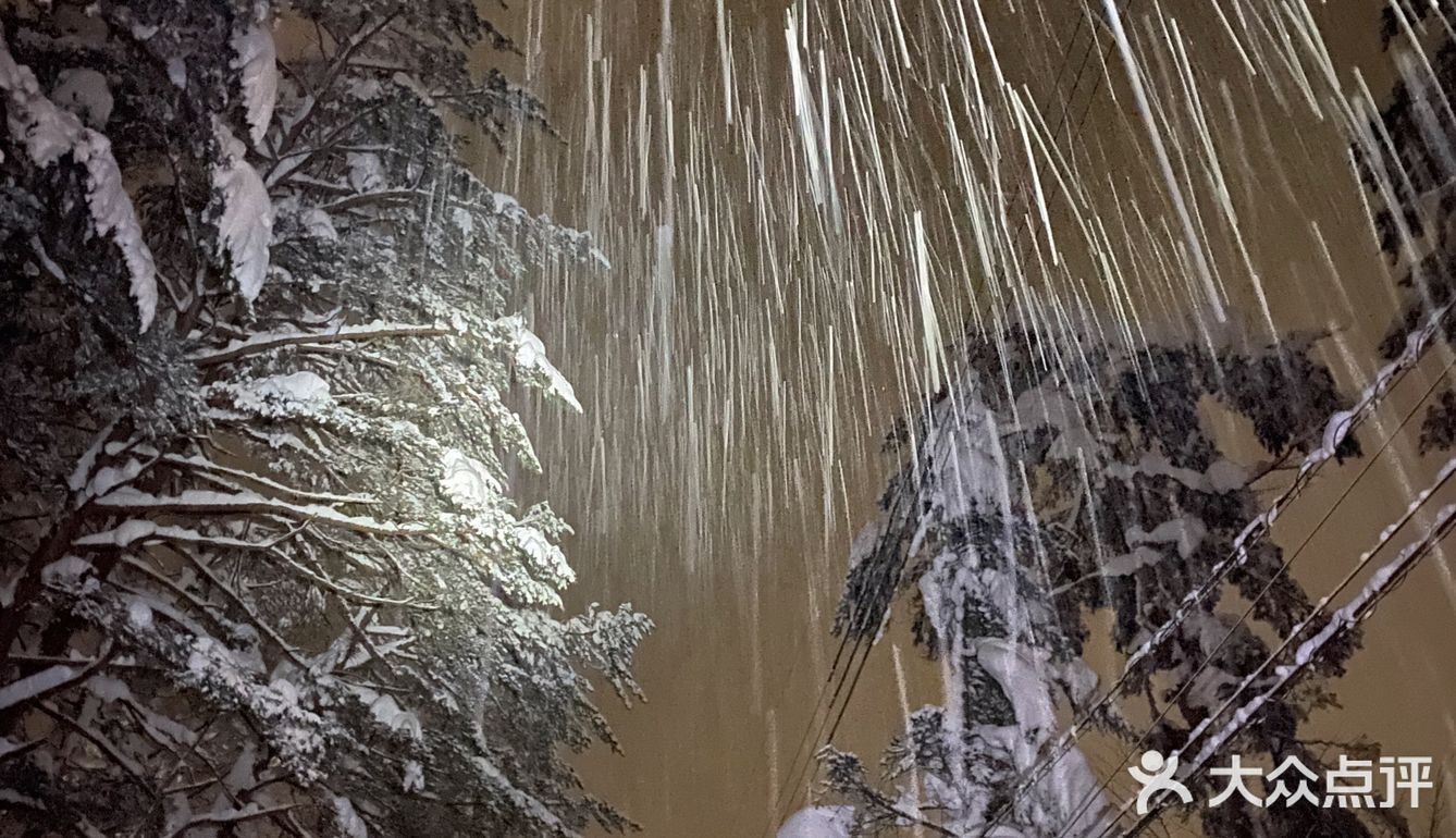 日本长野白马村滑雪场🎿之旅