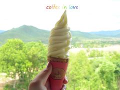 -黄色小屋