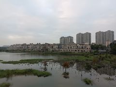 -立新湖公园