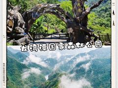 -龙湾潭国家森林公园