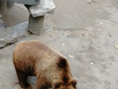 -保定市动物园
