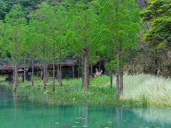 -广州市石门国家森林公园