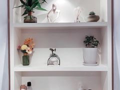 -蝶舍·MAISON PAPILLON