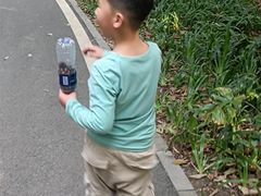 -三门江国家森林公园