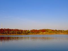 -溱湖国家湿地公园