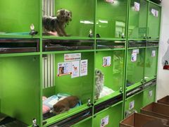 -唐小姐の猫狗洗护·购宠旗舰店(周浦万达店)
