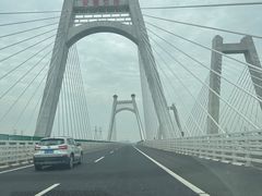 -锤头鲨毛肚海鲜烤肉自助餐厅(国购广场店)