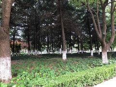 -昆山城市公园