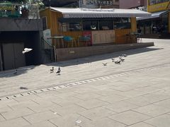 -邱大妈水煮(龙山店)