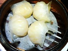 虾饺-糖朝(尖沙咀店)