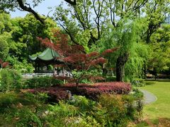 -申粤轩酒楼·三十年粤菜经典(丁香花园店)