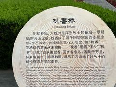 -大槐树寻根祭祖园