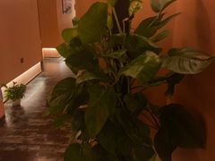 -霖公馆SPA·足道(普善路店)