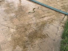 -武清南湖绿博园