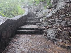 -Apple零售店(中街大悦城店)