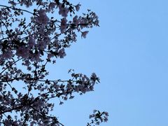 -蜀冈西峰生态公园